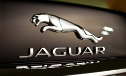 Автостёкла Jaguar